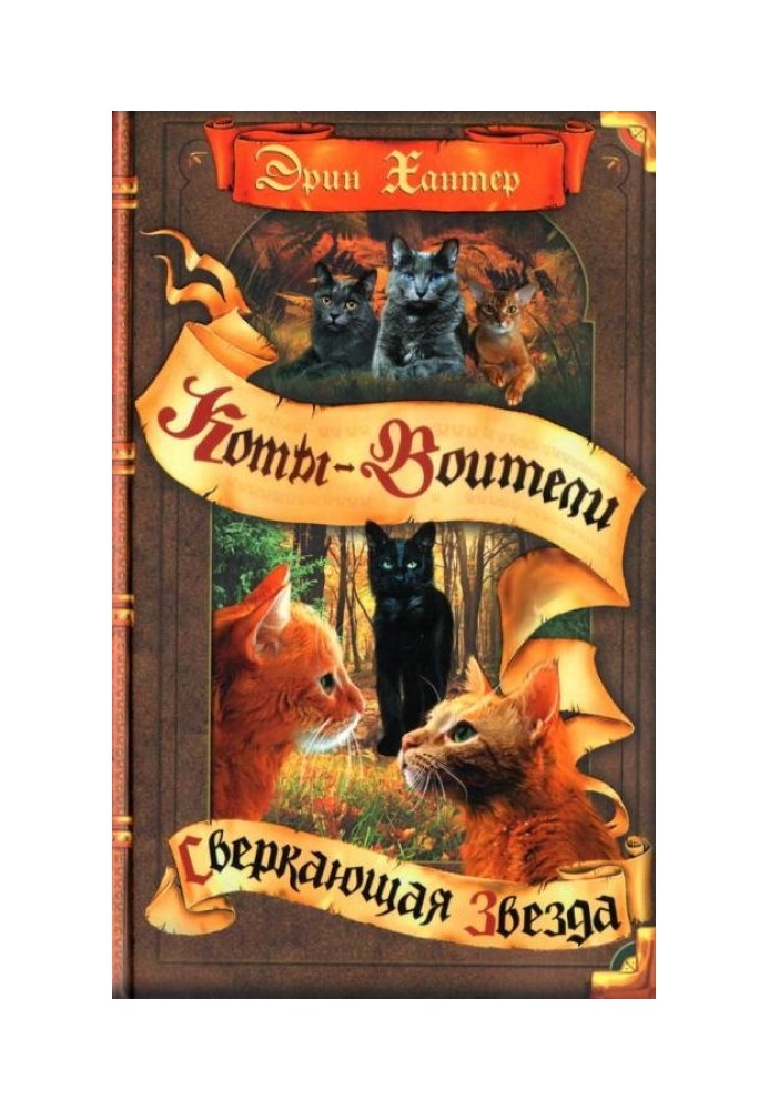 Книга Сверкающая Звезда