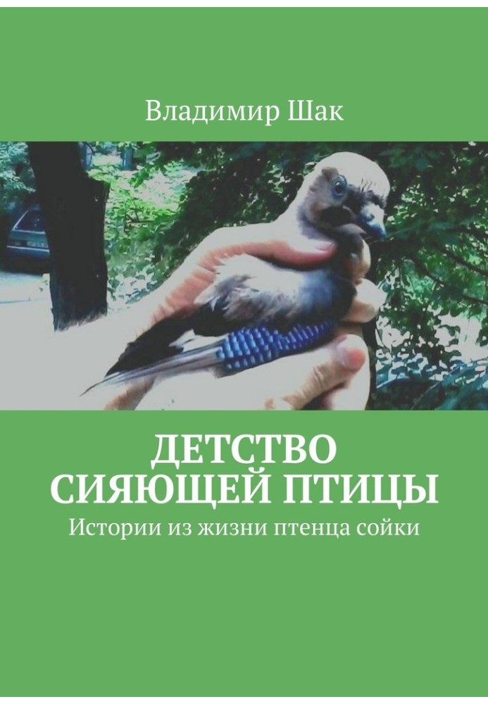 Книга Дитинство сяючий птах. Історії з життя пташеня сойки