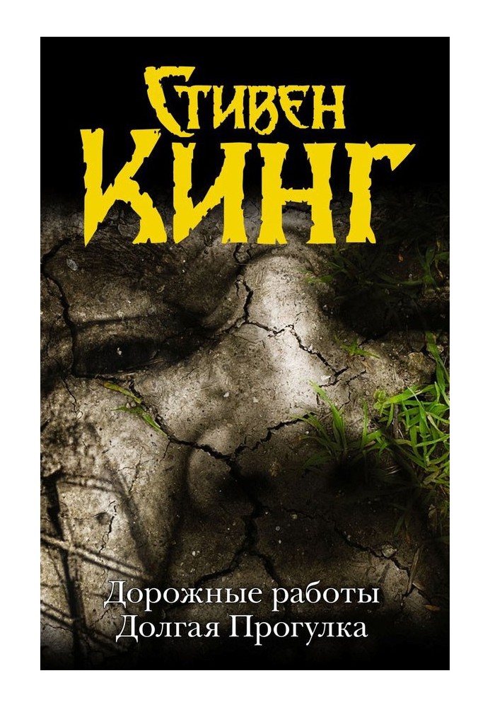 Книга Долгая прогулка