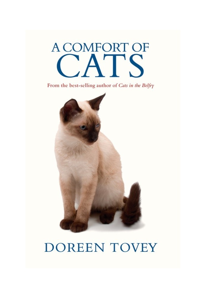 Book A Comfort Of Cats