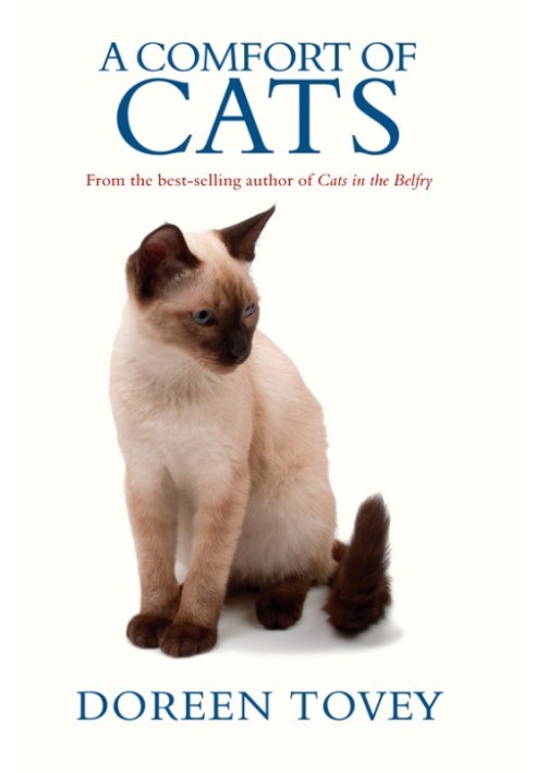 Book A Comfort Of Cats