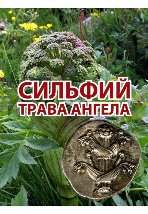 Book Silphium - angel herb
