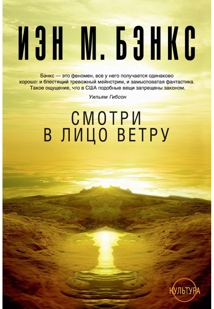 Книга Дивись в обличчя вітру