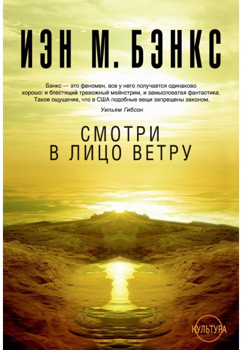 Книга Дивись в обличчя вітру