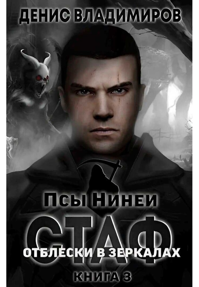 Книга Отблески в зеркалах