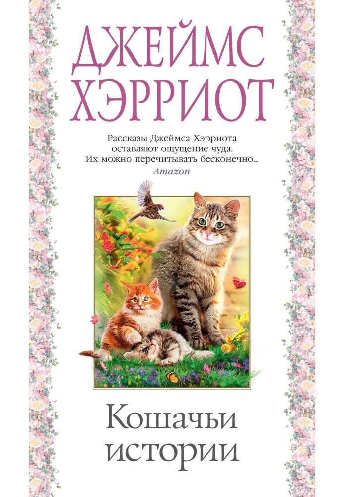 Book Cat stories