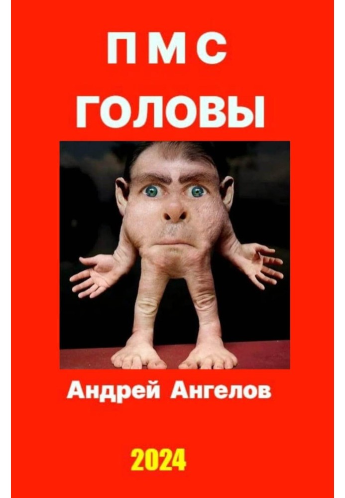 Книга ПМС головы