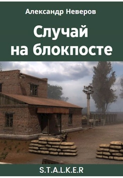 Book Incident at the checkpoint