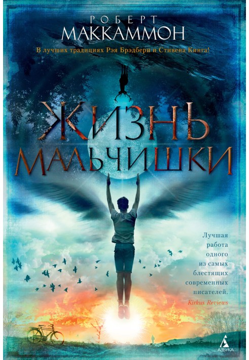 Книга Життя хлопчика