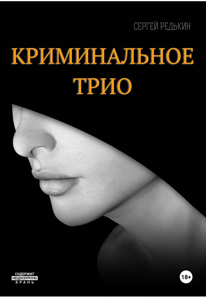 Книга Кримінальне тріо