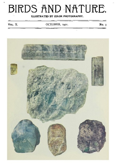 Book L'Illustration, No. 1609, December 27, 1873