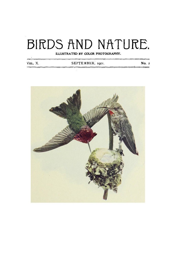 Book Birds and Nature, Vol 10 No. 2 [September 1901]