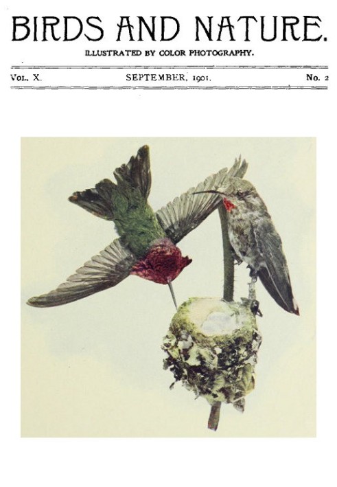 Book Birds and Nature, Vol 10 No. 2 [September 1901]