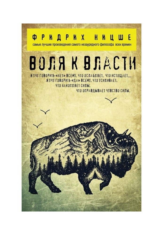 Book Will to power