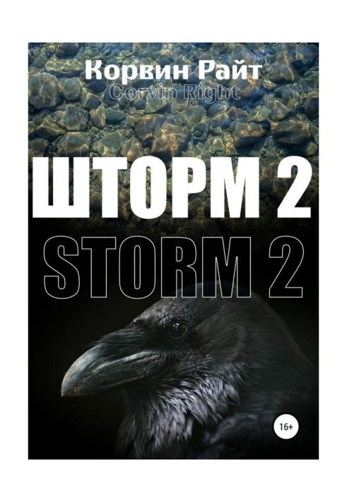 Книга Шторм-2