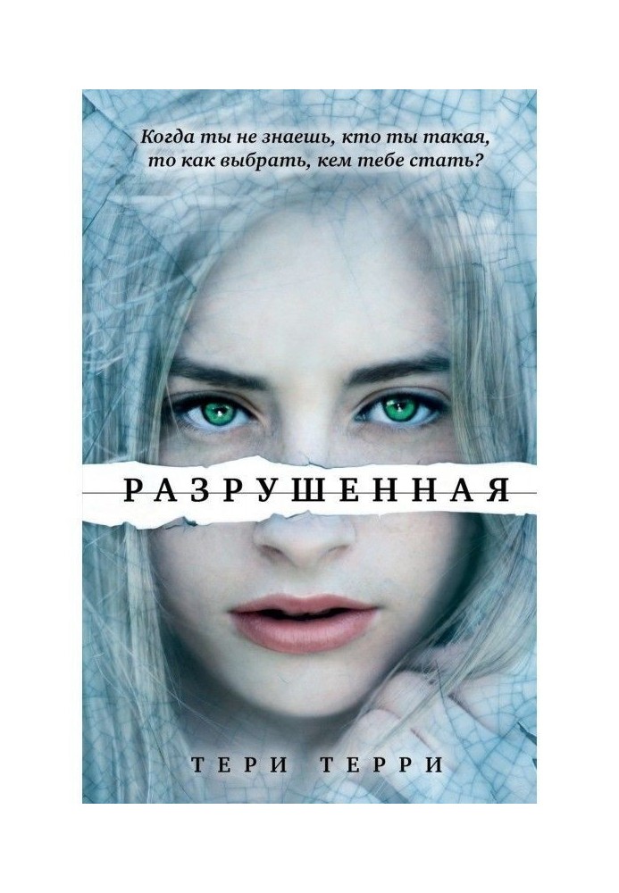 Книга Разрушенная