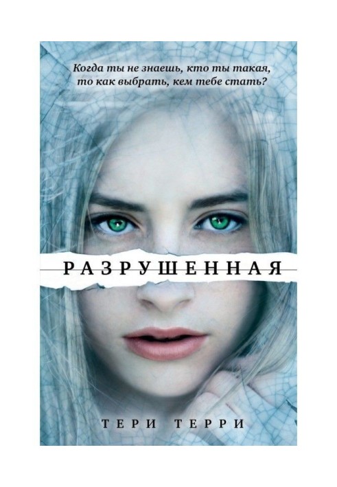 Book Destroyed