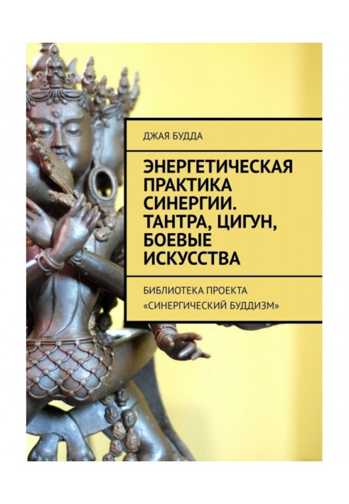 Книга Енергетична практика синергії. Тантра, цигун, бойові мистецтва. Бібліотека проекту "Синергетичний буддизм"