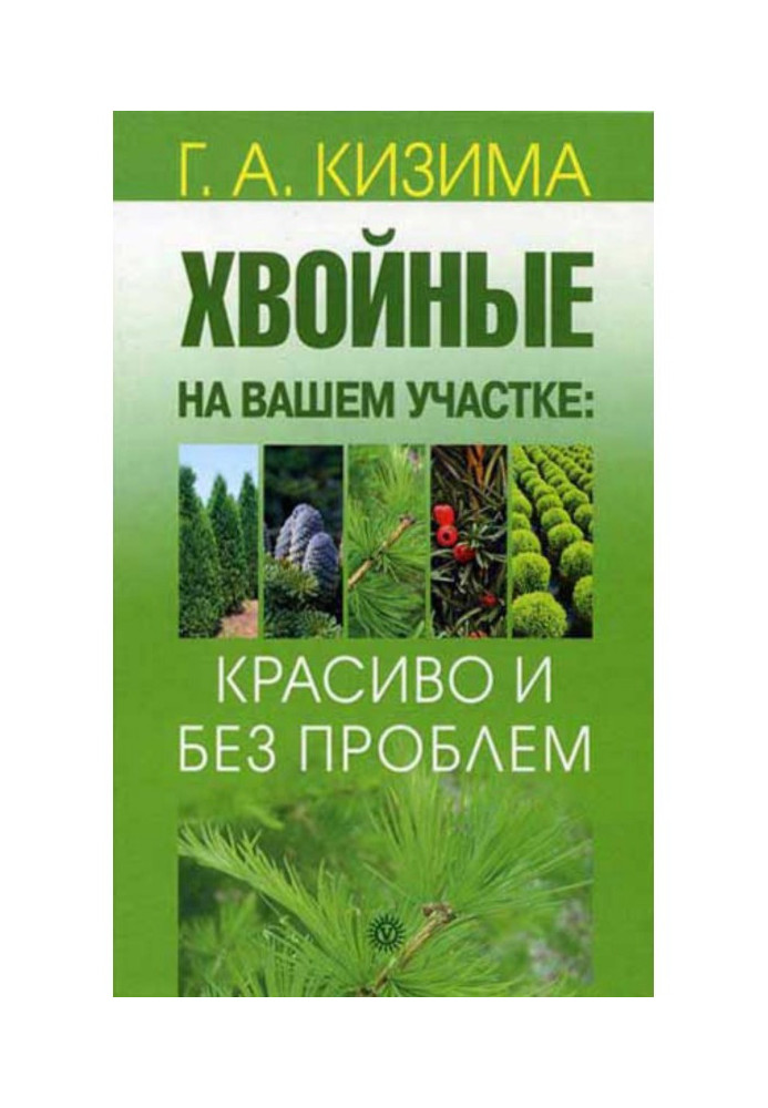 Book Coniferous on your area: beautifully and without problems