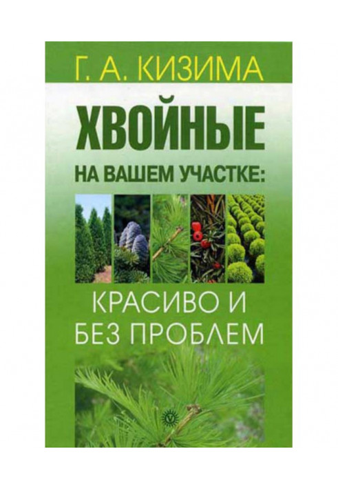 Book Coniferous on your area: beautifully and without problems