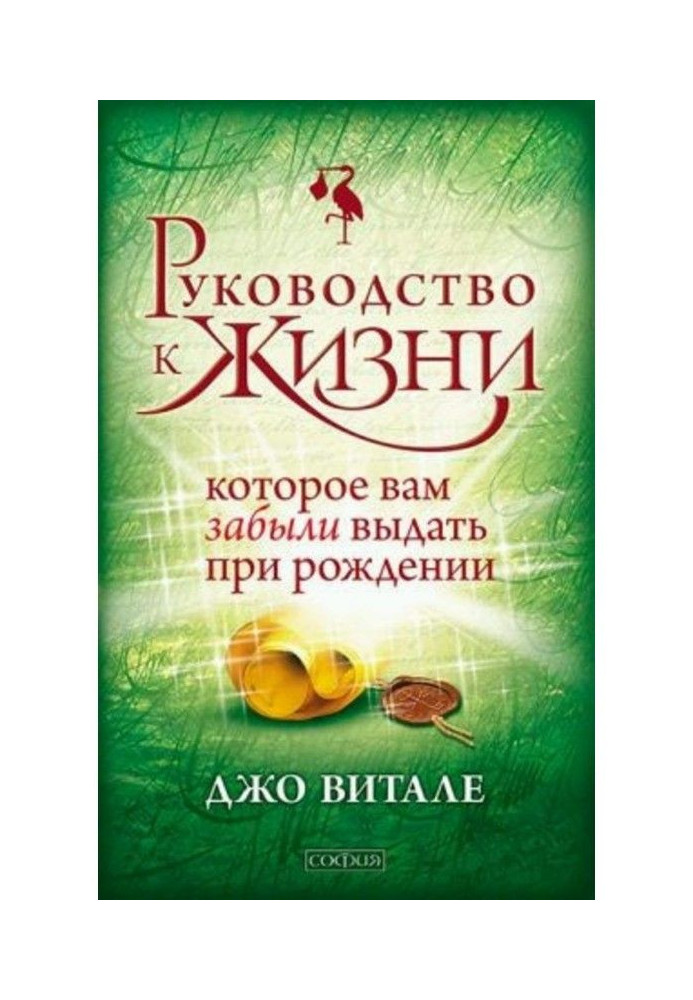 Книга Руководство к жизни, которое вам забыли выдать при рождении