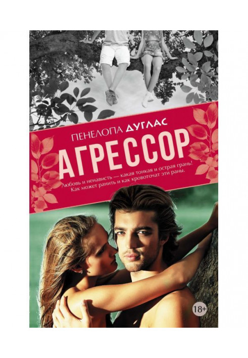 Книга Агрессор