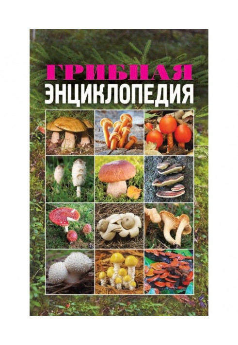 Book Mushroom encyclopaedia