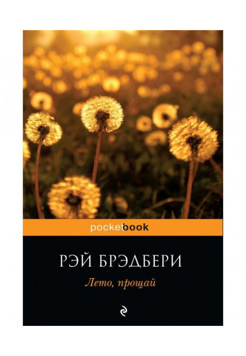 Книга Лето, прощай