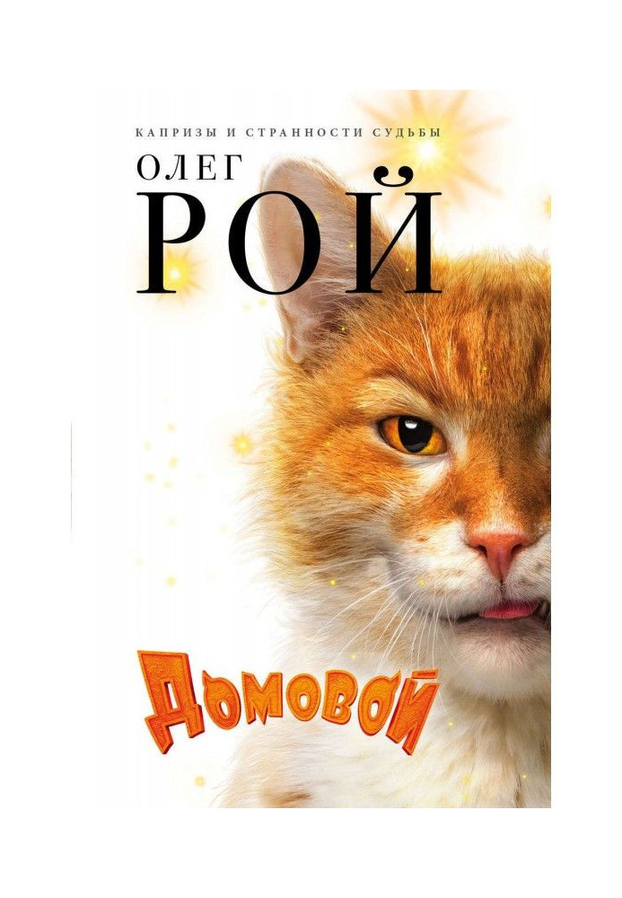 Книга Домовий