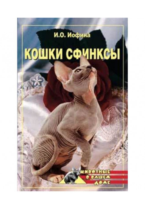 Book Lady-cats are sphinxes