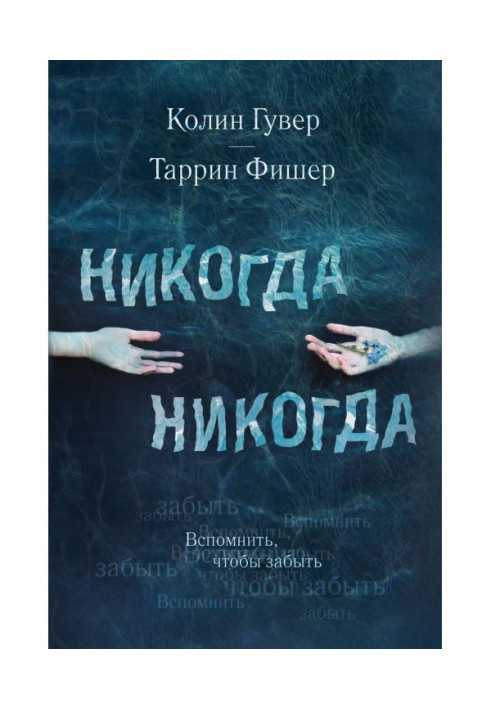 Book Never Never