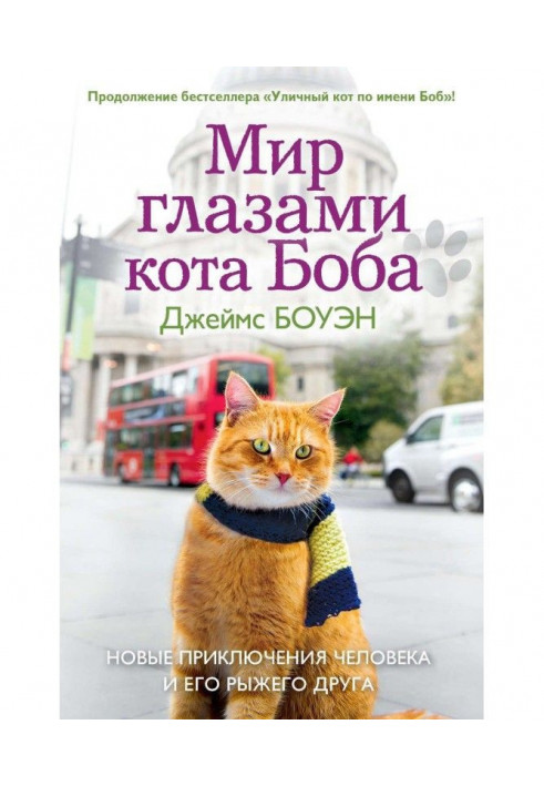 Book World by the eyes of cat Bob. New adventures of man and his red friend