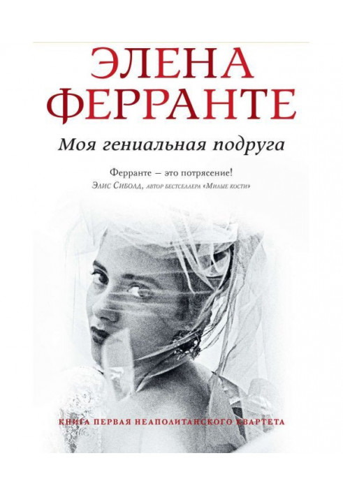 Книга Моя геніальна подруга