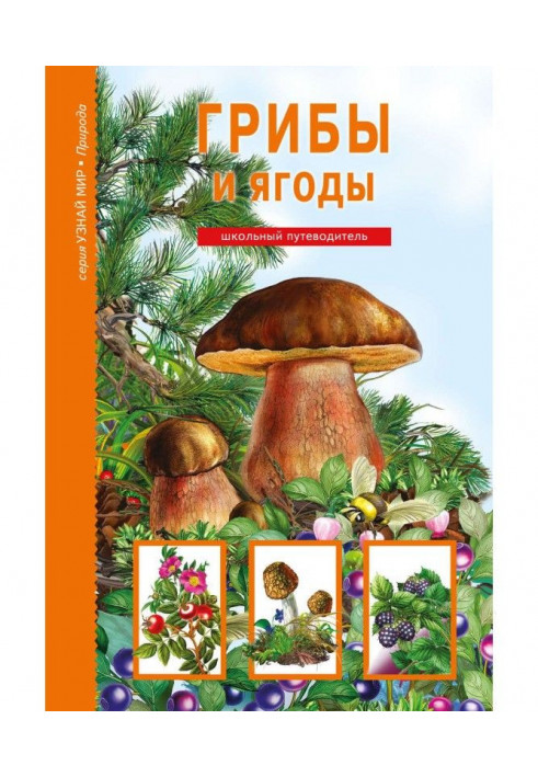 Book Mushrooms and berries