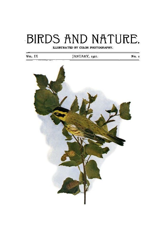 Book Birds and Nature Vol. 09 No. 1 [January 1901]
