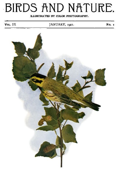 Book Birds and Nature Vol. 09 No. 1 [January 1901]