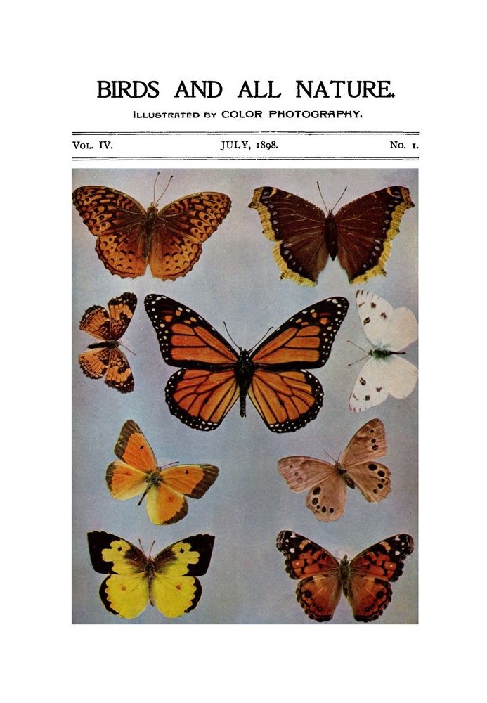 Book Birds and All Nature, Vol. 4, No. 1, July 1898 Illustrated by Color Photography