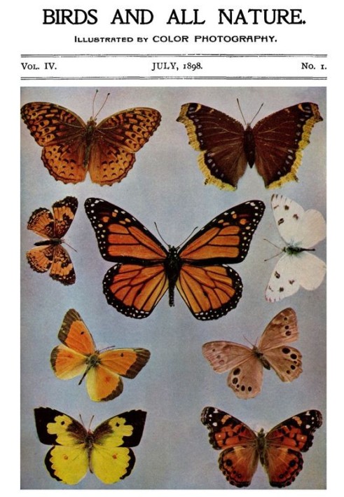 Book Birds and All Nature, Vol. 4, No. 1, July 1898 Illustrated by Color Photography