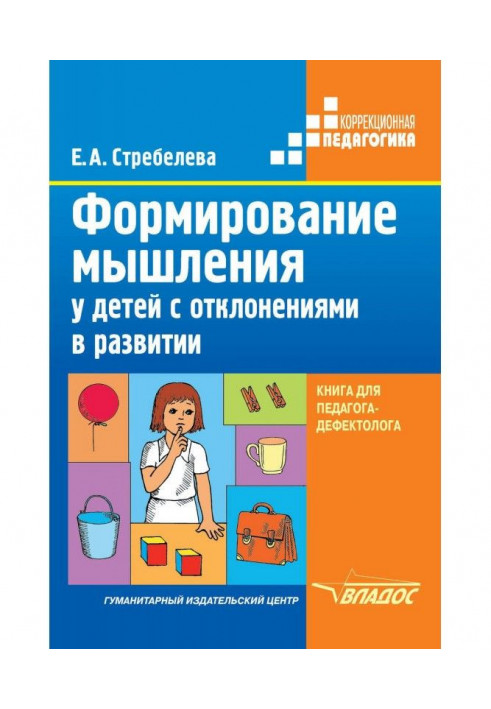 Book Formation of thinking in children with developmental disabilities. A book for a teacher-defectologist