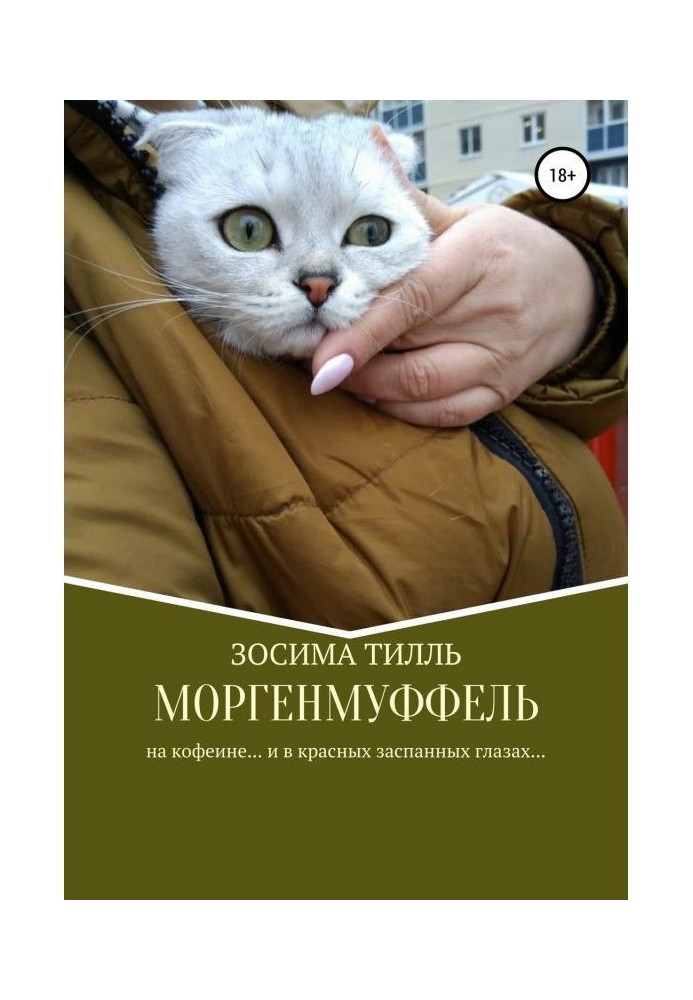 Book Morgenmuffel