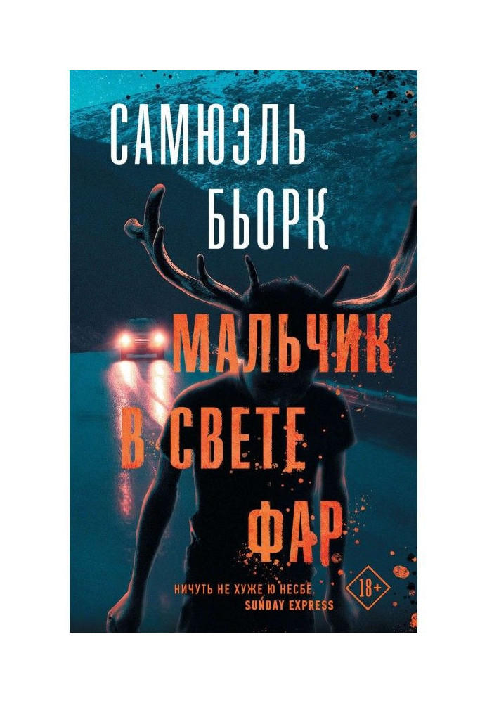 Book Boy in the light of headlights