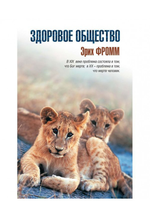 Книга Здорове суспільство