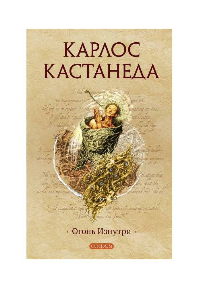 Книга Вогонь зсередини