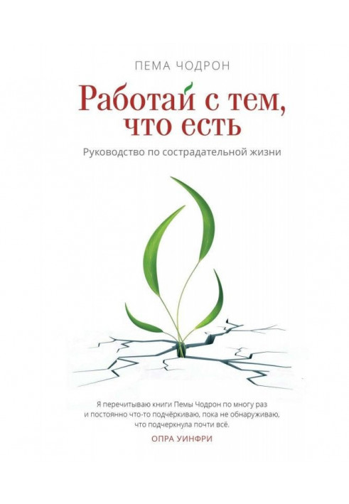 Книга Работай с тем, что есть. Руководство по сострадательной жизни