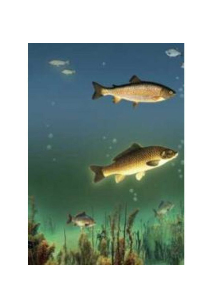 Книга Водойма - годувальник