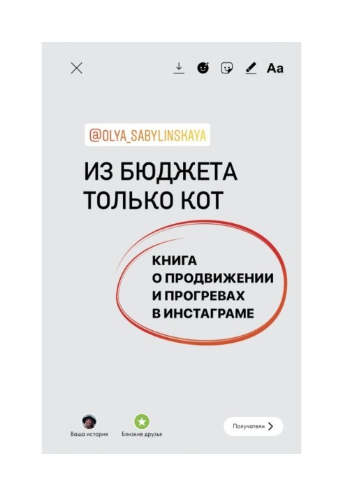 Книга З бюджету лише кіт. Книга про просування та прогрівання в інстаграмі