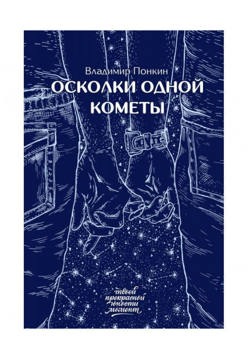 Book Fragments of one comet