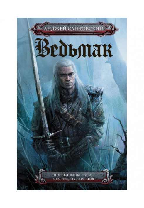 Book Last desire. Sword of destiny