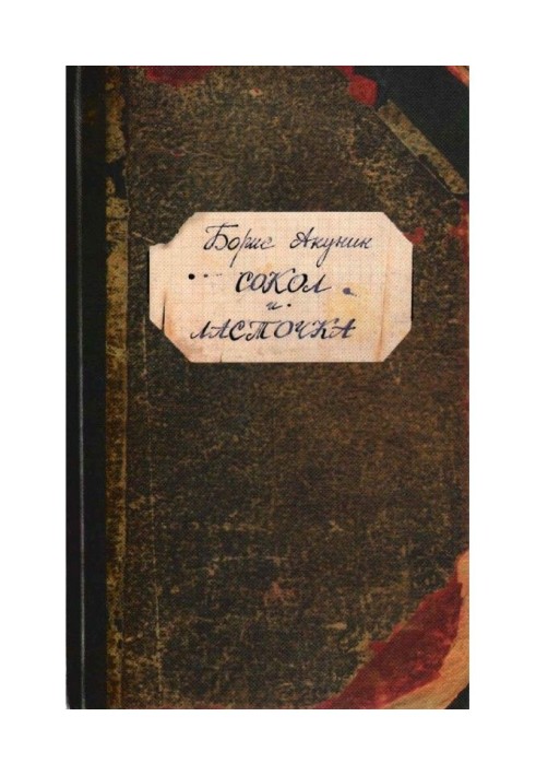 Book Falcon and Swallow