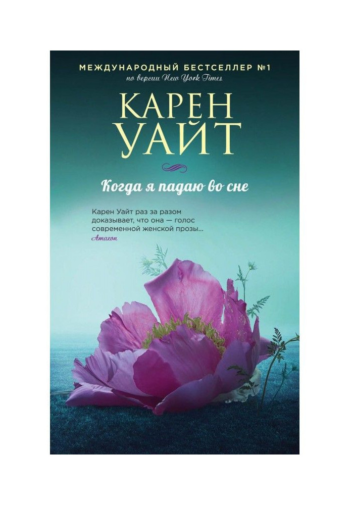 Book When I fall in sleep